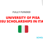 UNIVERSITY OF PISA DSU SCHOLARSHIPS IN ITALY