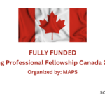 Young Professional Fellowship Canada 2024