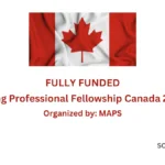 Young Professional Fellowship Canada 2024