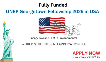 UNEP Georgetown Fellowship 2025 (Fully Funded) in USA