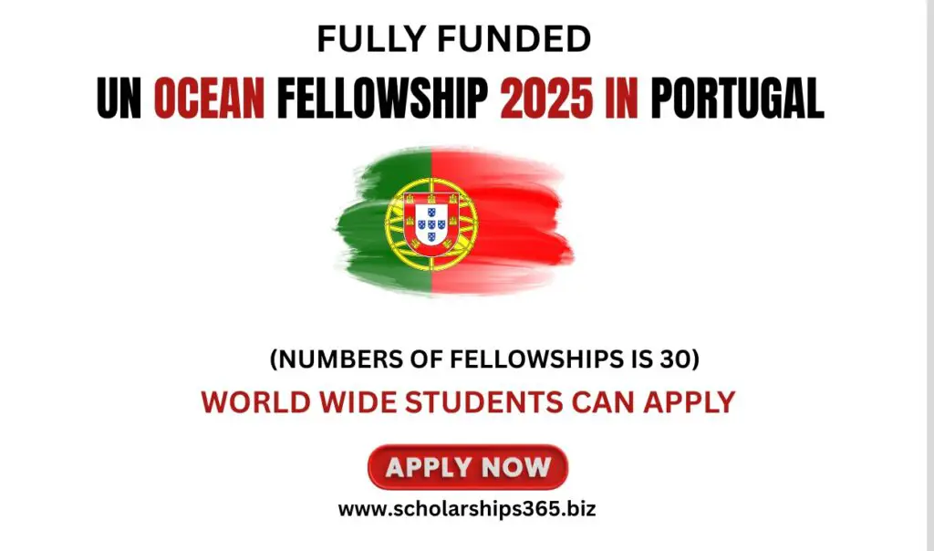 UN Ocean Fellowship 2025 in Portugal (Fully Funded)