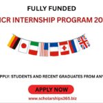 UNHCR Internship Program 2026 (Fully Funded)