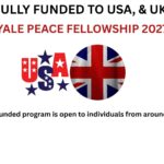 Yale Peace Fellowship 2027 (Fully Funded to USA, & UK)